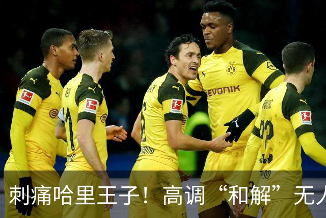 刺痛哈里王子！高调“和解”无人应答，查尔斯威廉同框显父子情深