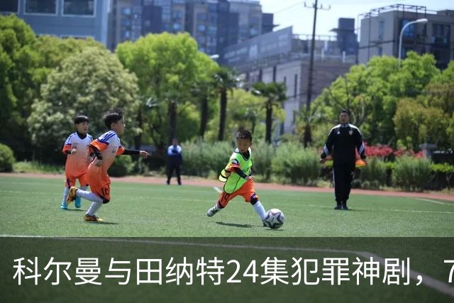 科尔曼与田纳特24集犯罪神剧，7天后将下架Netflix