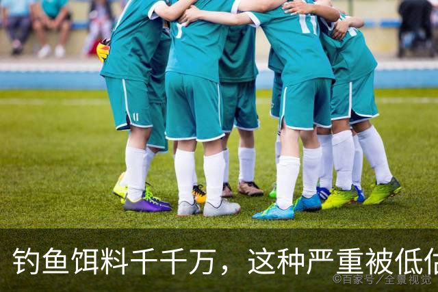 钓鱼饵料千千万，这种严重被低估，随手可得、效果通杀